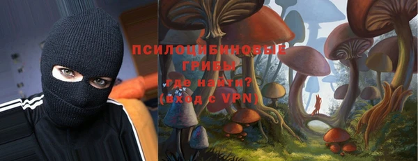 spice Каменка