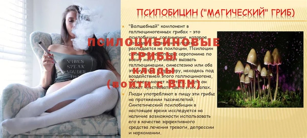 мескалин Каменногорск