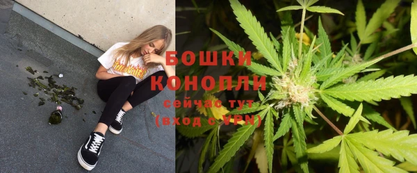 spice Каменка