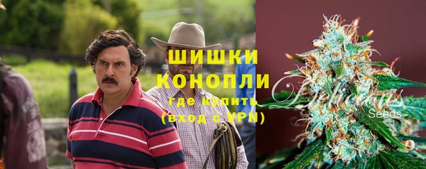 spice Каменка
