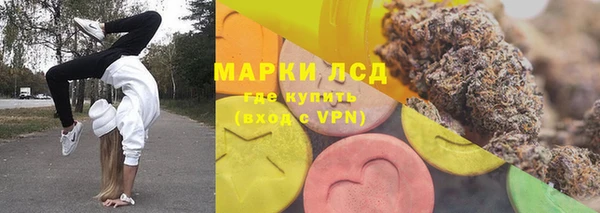 spice Каменка