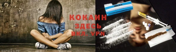 spice Каменка