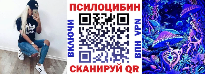 Купить  Облучье  Галлюциногенные грибы Psilocybine cubensis 